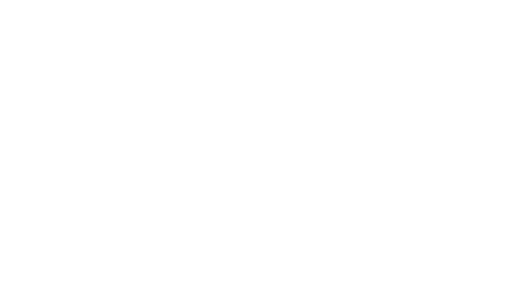 BNB Flex